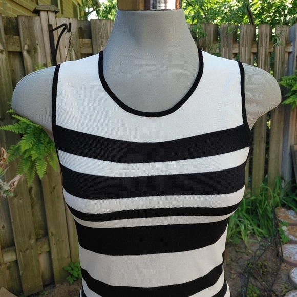 WHBM Striped Knit Flutter Dress Xsp - Picture 4 of 9